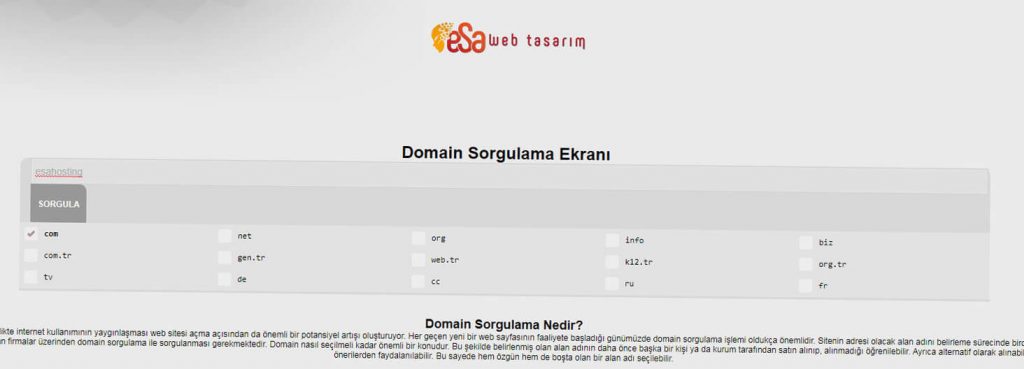 domain sorgulama ekranı